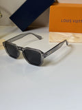 Louis Vuitton 4954 Grey