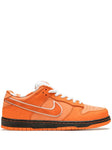 Sb Dunk Low Orange Lobster With Band