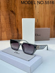 Dior Ladies Grey