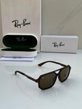 Rayban Dark Brown