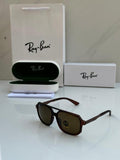 Rayban Dark Brown