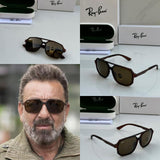 Rayban Dark Brown