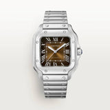 Cartier Santos Automatic Silver Brown