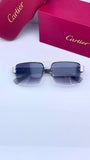 Cartie 24025 Silver Shaded